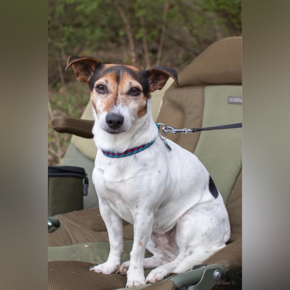 Meet your Poshers, Alex and Harry - Picture 2 of 7